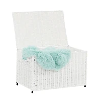 Household Essentials 19" White Woven Sturge Chest