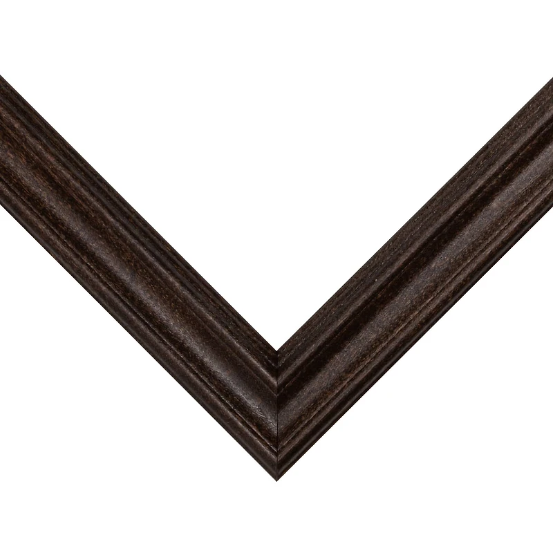 Frame USA Classic Walnut Single Image Picture Frame