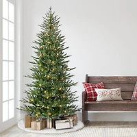 7.5ft. Pre-Lit Slim Alberta Artificial Spruce Tree, Warm White LED Lights