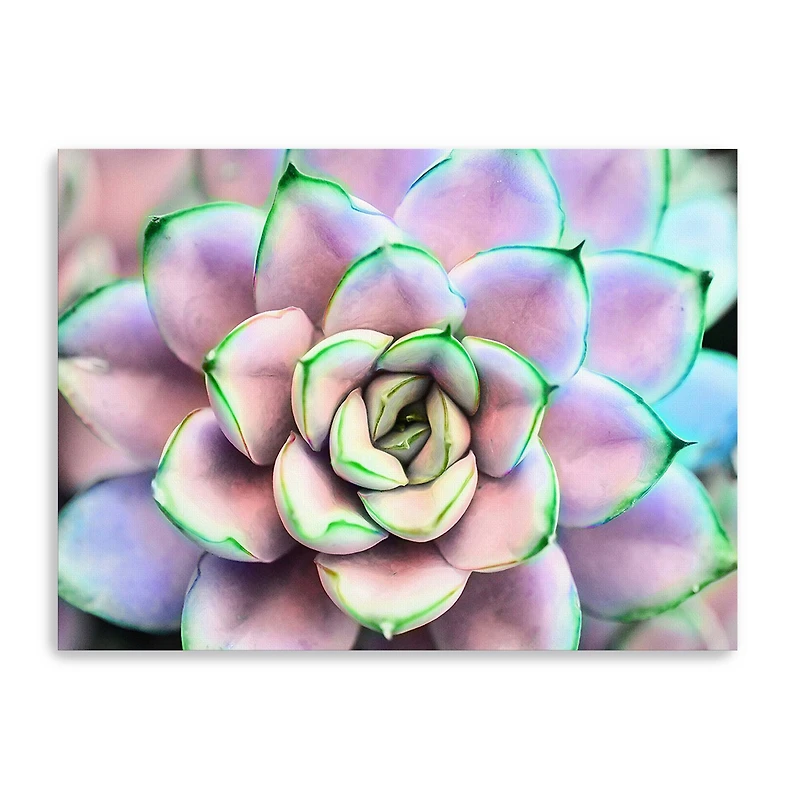 Succ You Canvas Giclee
