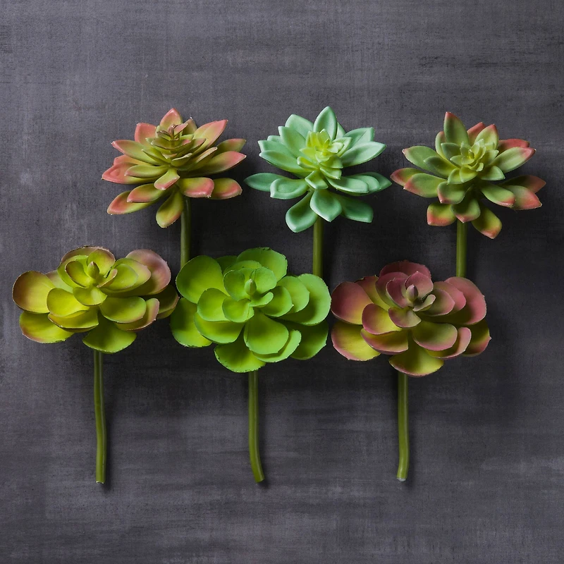 Assorted 5" Succulent Pick by Ashland®, 1pc.