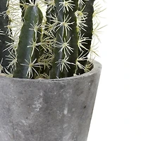 2ft. Cactus Garden In Cement Planter