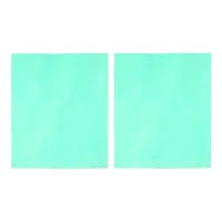 Stamp Cleaning Shammies, 2ct. by Recollections™