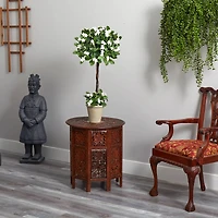 3ft. White Stephanotis Topiary In Planter