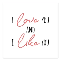 I Love You and I Like You Canvas Art