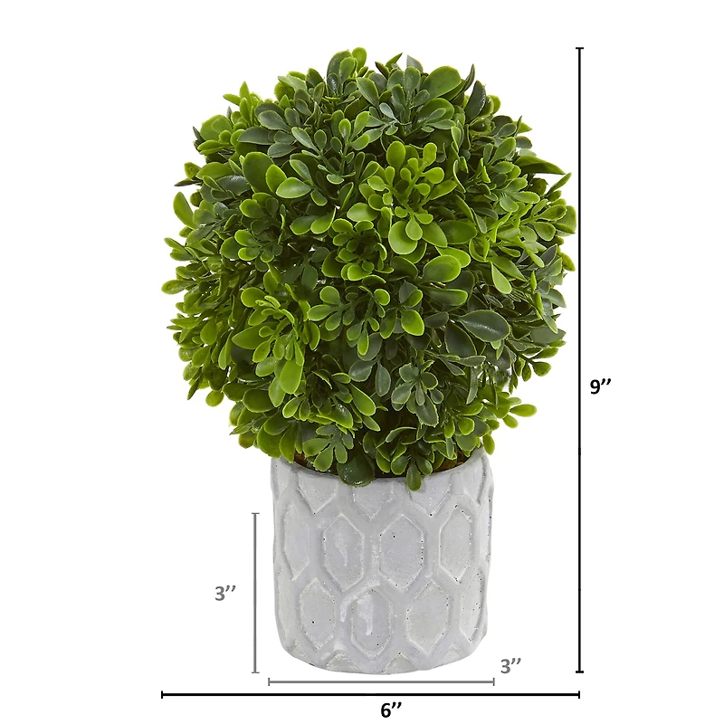 9" Potted Boxwood Mini Topiary, 3ct.