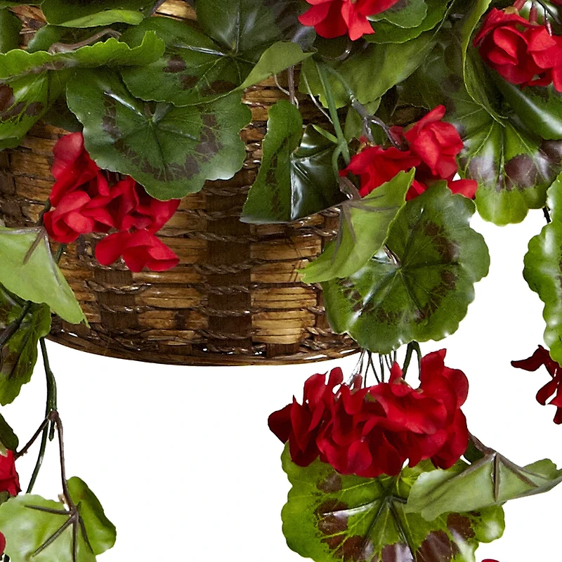 2.5ft. Geranium Hanging Basket