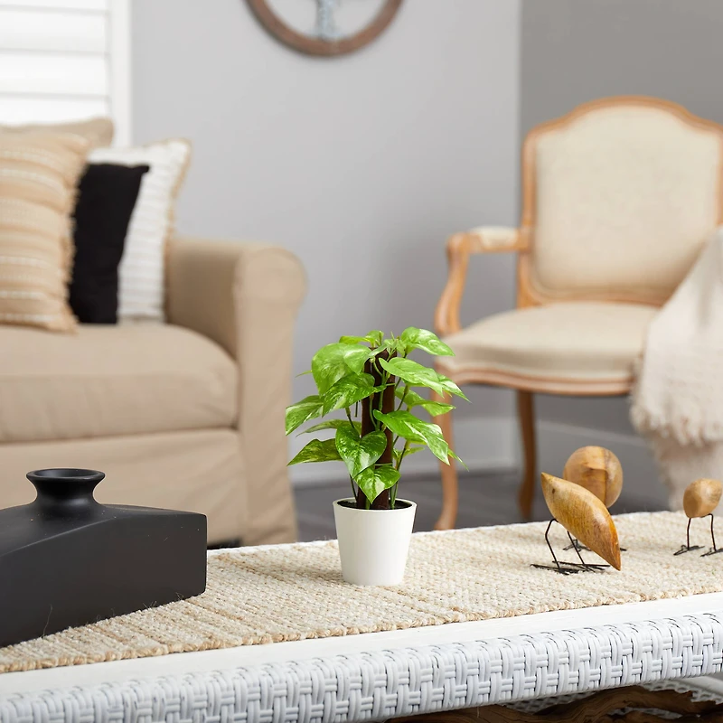 9" Pothos Plant in Decorative White Planter