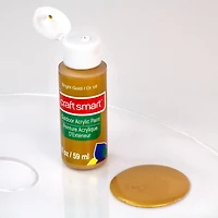 Metallic Outdoor Acrylic Paint by Craft Smart