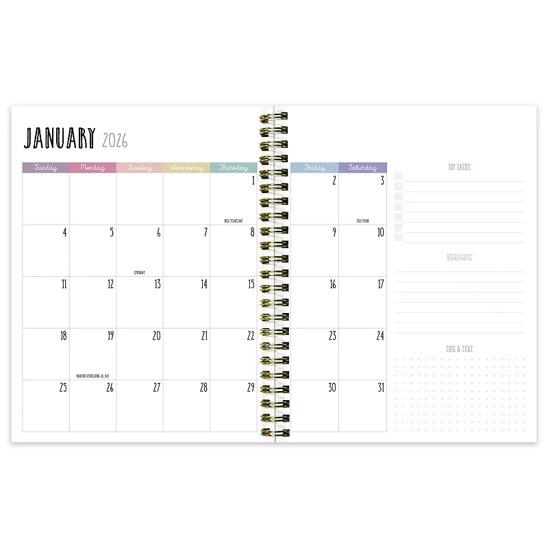 2026 Blue and Gold Lines Medium Weekly Monthly Planner