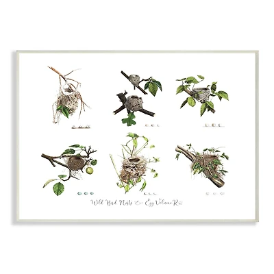 Stupell Industries Bird Nest Identification Wall Plaque