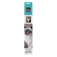 16" x 20" White Cat Paint-by-Number Kit by Artist's Loft®
