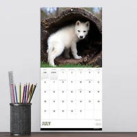 TF Publishing 2025 Wolves Mini Calendar