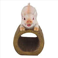 Design Toscano 9.5" Wild Pouncing Pig Gutter Guardian Downspout Statue