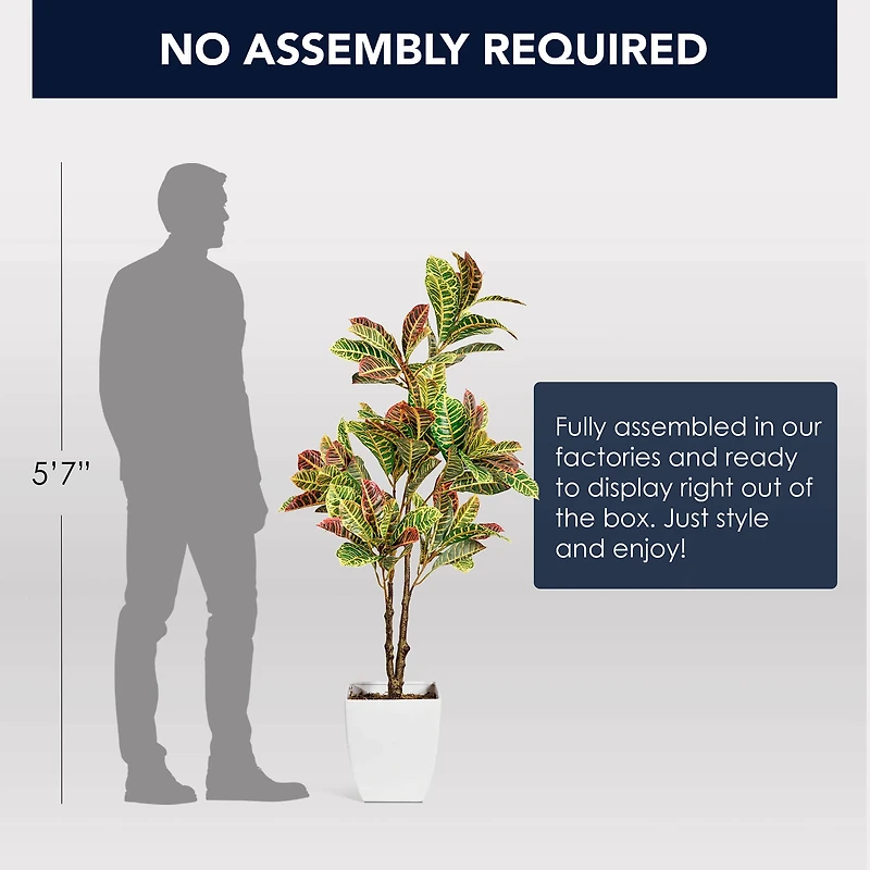 American Art Decor 4ft. Croton Tree in White Ceramic Pot