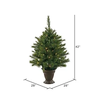 3.5ft. Pre-Lit Cashmere Pine Artificial Christmas Tree, Clear LED Lights