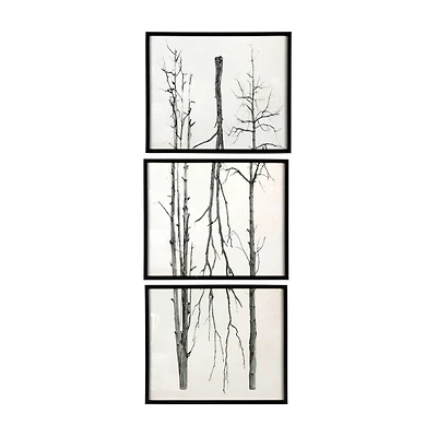 Hello Honey® Black Wood Framed Straight Branch Artwork Set