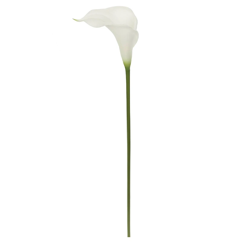 White Calla Lily Stem by Ashland®