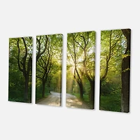 Designart - Evening in Green Forest