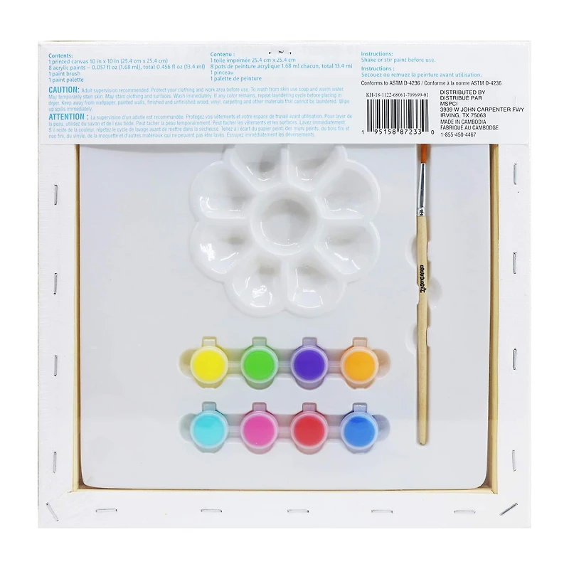 Flowers Canvas Painting Kit by Creatology™