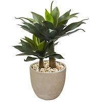 3ft. Double Agave Succulent in Sand Stone Planter