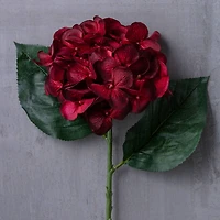 12 Pack: Hydrangea Stem by Ashland