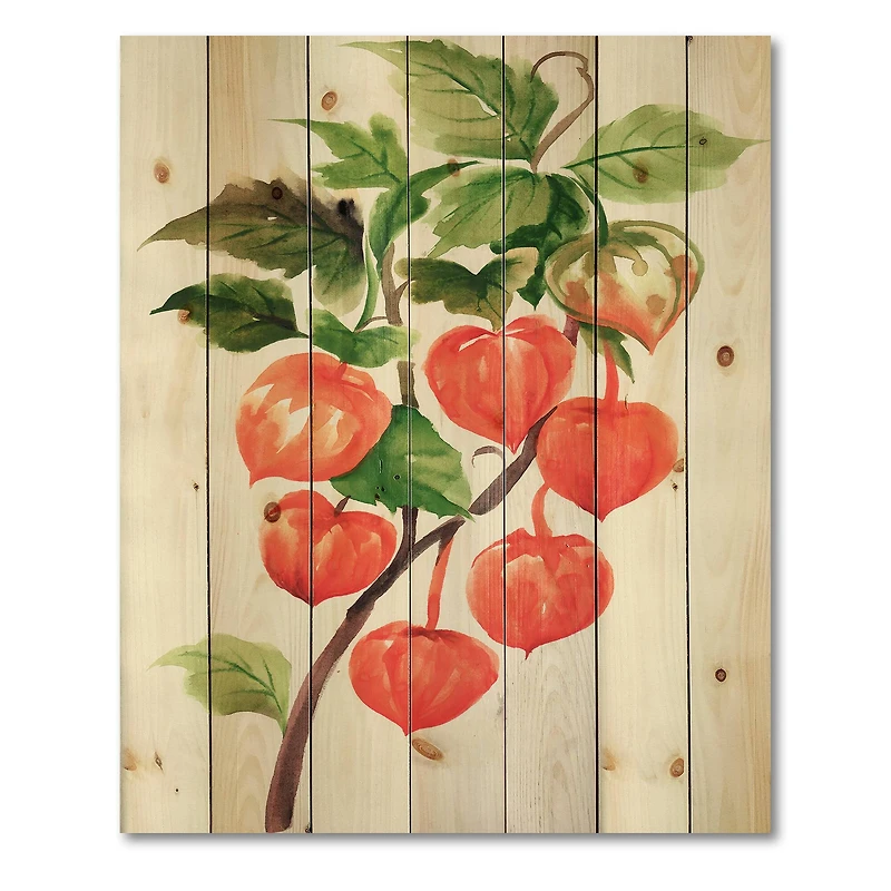 Designart - A Branch of Red Physalis