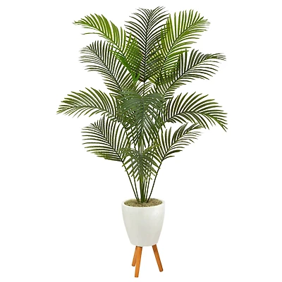 6.5ft. Golden Cane Palm Tree in White Planter with Stand