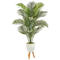 6.5ft. Golden Cane Palm Tree in White Planter with Stand