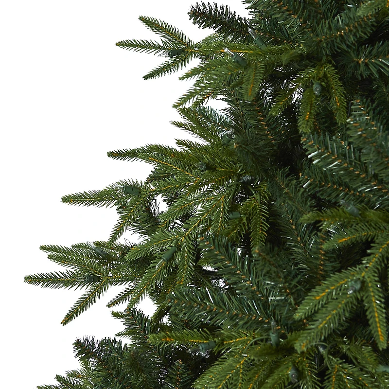 7.5ft. Pre-Lit Colorado Mountain Fir Artificial Christmas Tree, Clear LED Lights