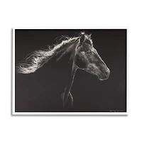 Stupell Industries Strong Equestrian Portrait Minimal Black Horse in White Frame Wall Art
