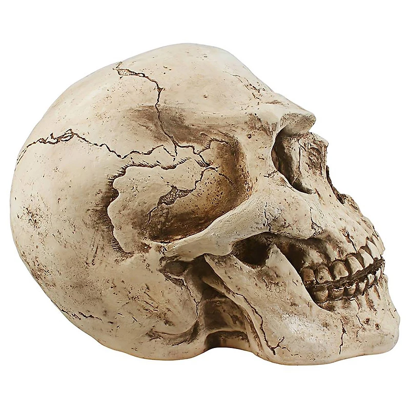 Design Toscano Sinister Simon Giant Skull Sculpture