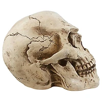 Design Toscano Sinister Simon Giant Skull Sculpture