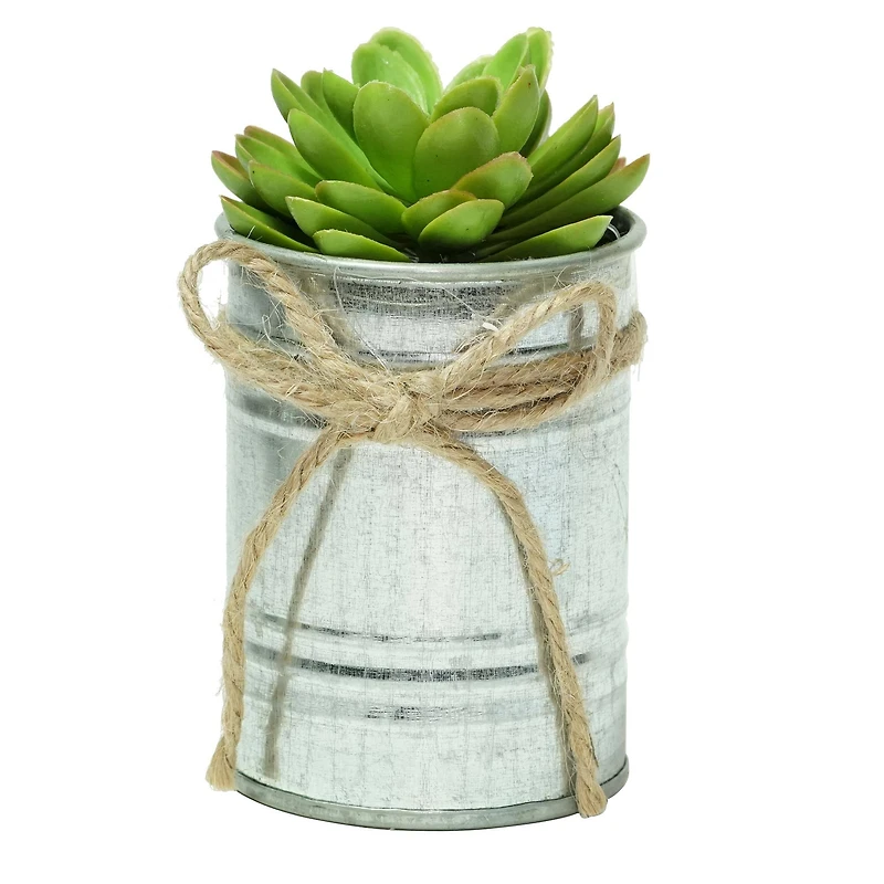 7" Lime Green Mini Sprouting Rose Succulent in Tin Planter