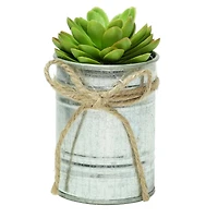 7" Lime Green Mini Sprouting Rose Succulent in Tin Planter