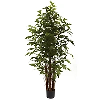 6ft. Potted Fishtail Palm Tree