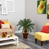 3.5ft. Cycas Tree in Brown Planter