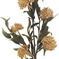 30" Cream Sedum Stem by Ashland®