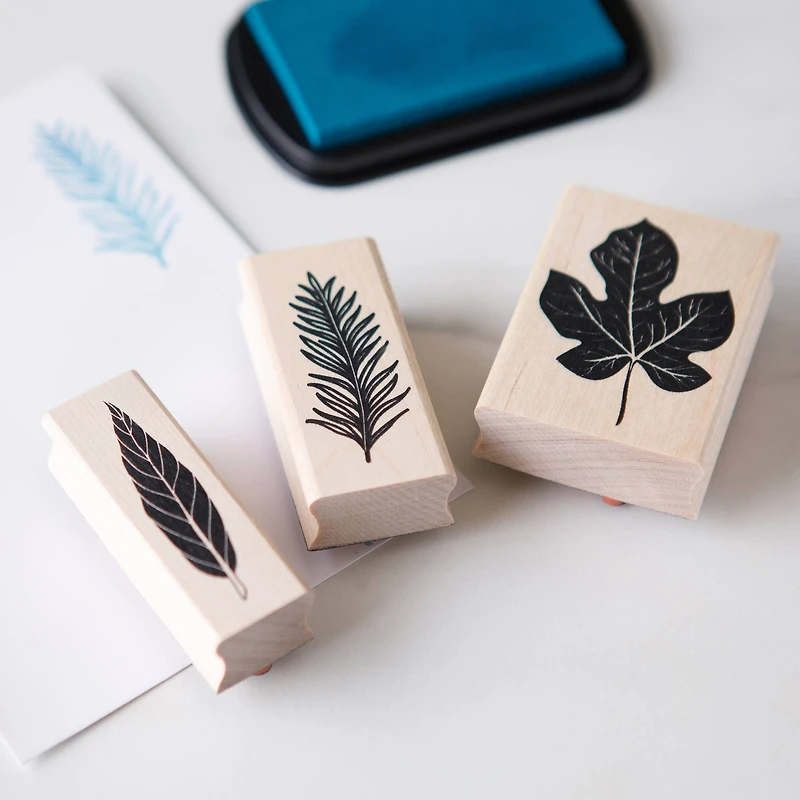 Leaf Stamp Set by Recollections™