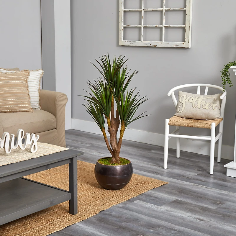 4ft. Yucca Tree in Decorative Planter
