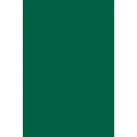 Pacon® Spectra® Art Tissue™ 20" x 30" Emerald Green Sheets, 24ct.