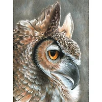 Royal & Langnickel® Sepia Owl Colour Pencil™ by Numbers Kit