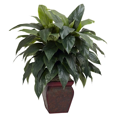 2.9ft. Cordyline Plant in Decorative Planter