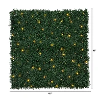 40" Pre-Lit Warm White LED Boxwood Artificial Living Wall Panel