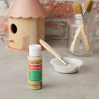 Outdoor Acrylic Paint by Craft Smart