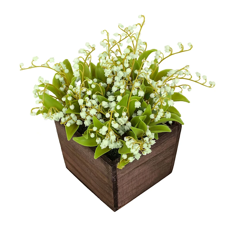10" Lily-Of-The-Valley Flowers In Wood Box