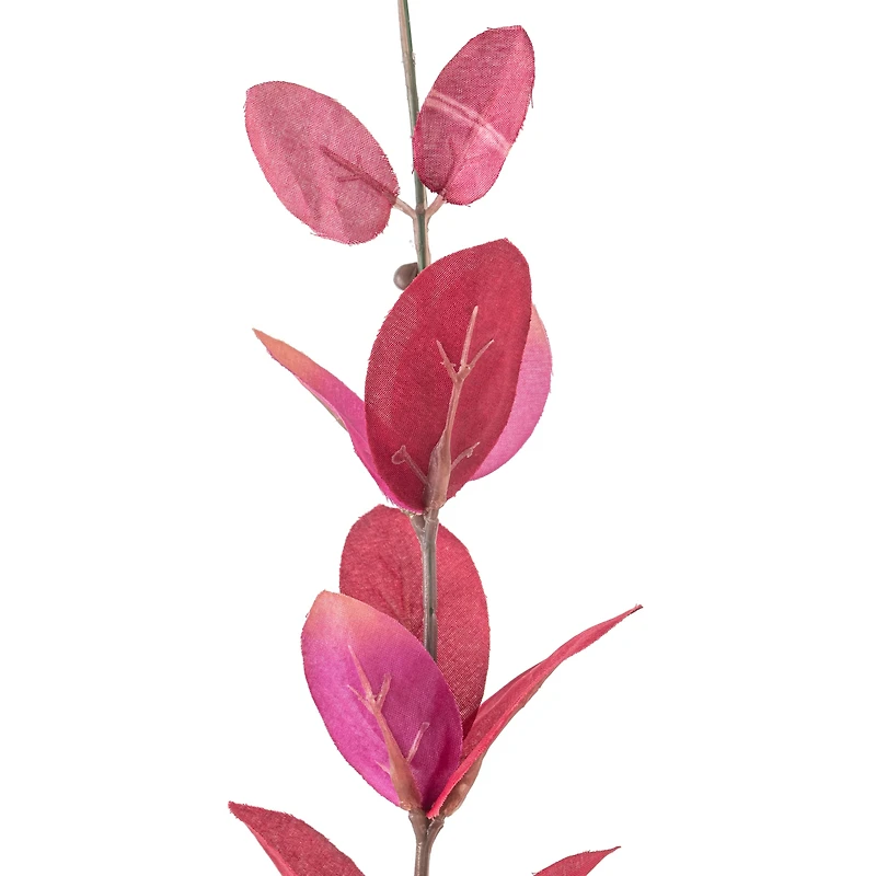 Lonicera Leaf Spray by Ashland