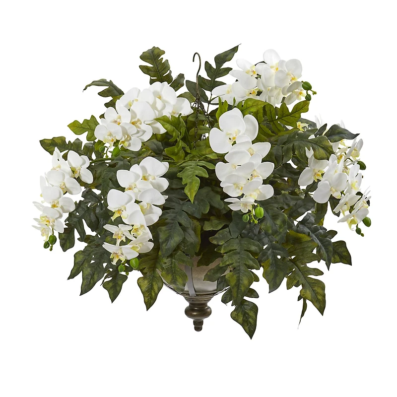 2ft. Cream Orchid & Holly Fern Arrangement in Metal Hanging Bowl