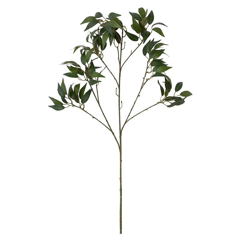 12 Pack: Green Osmanthus Stem by Ashland®