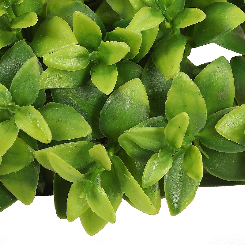 5" Boxwood Leaf Mat by Ashland®